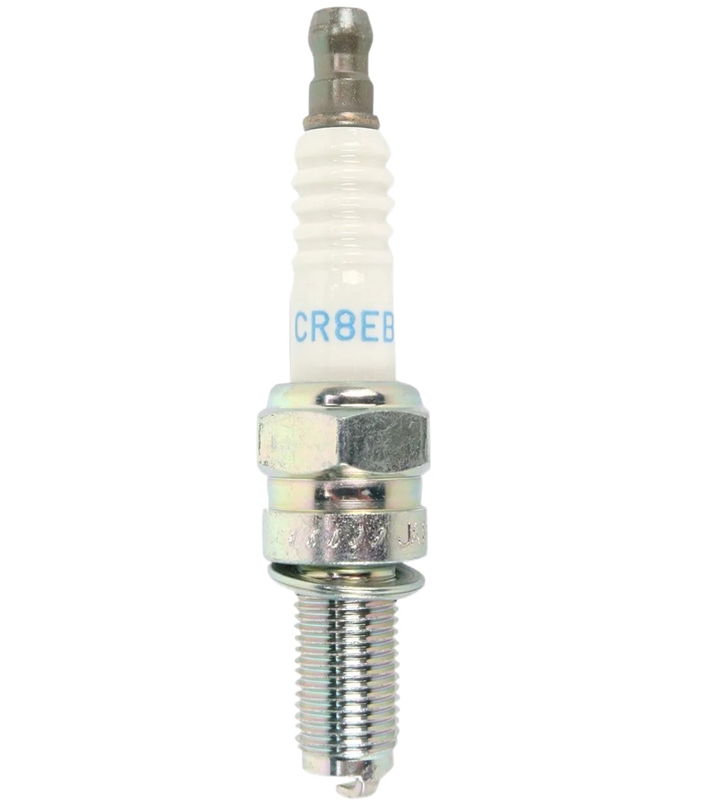 NGK Standard Zündkerze 7784 - CR8EB