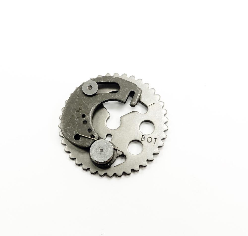 Fantic-Steuerkettenrad-mit-Dekompression-WR125-0198