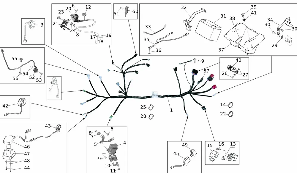 Kabelbaum / Elektrik