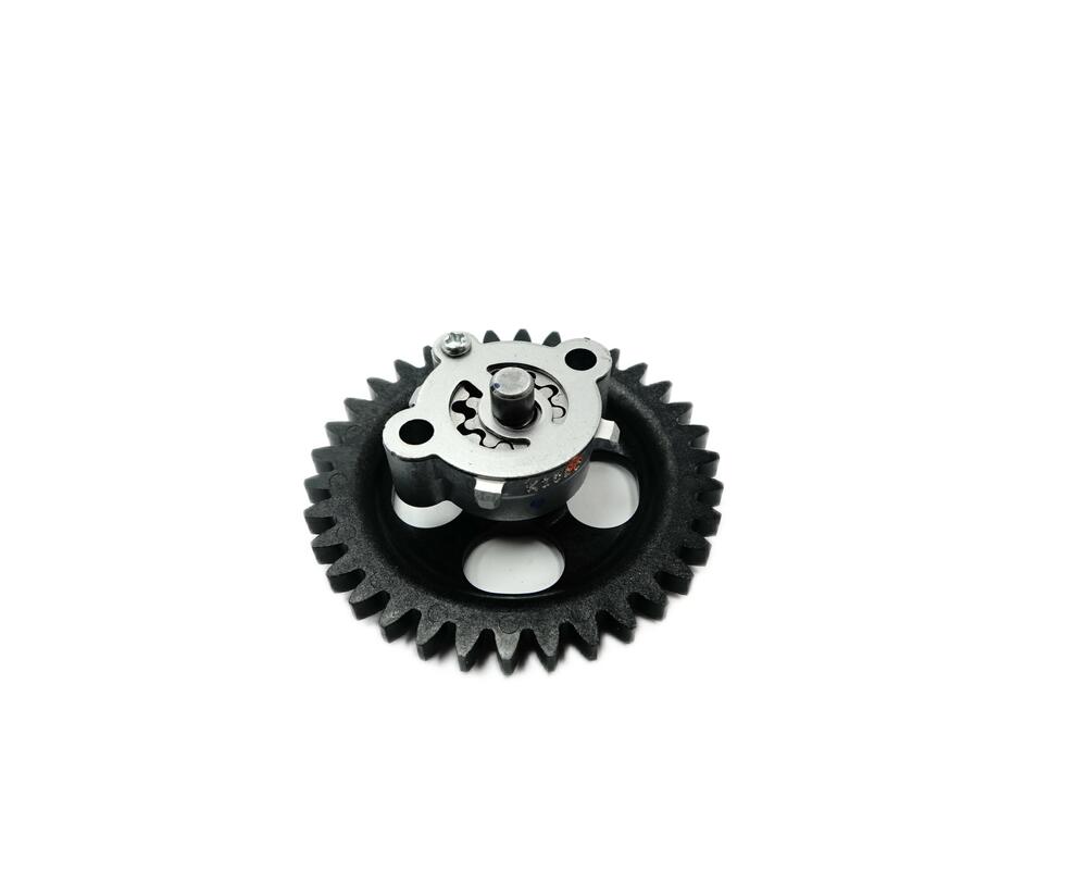 Fantic-OElpumpe-WR125-0165 Fantic Ölpumpe - WR125-0165