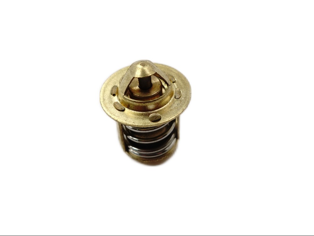 Fantic Thermostat AM6 - 50AM6-0037