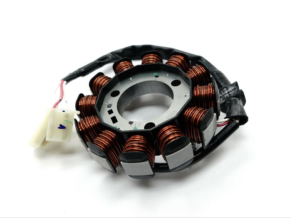 Fantic Lichtmaschinen Stator - WR125-0169