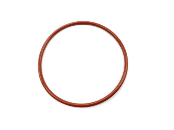 Fantic Gummi O-Ring für Batteriehalterung - 10291005