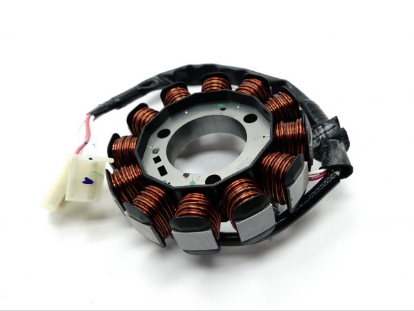 Fantic Lichtmaschinen Stator - WR125-0169