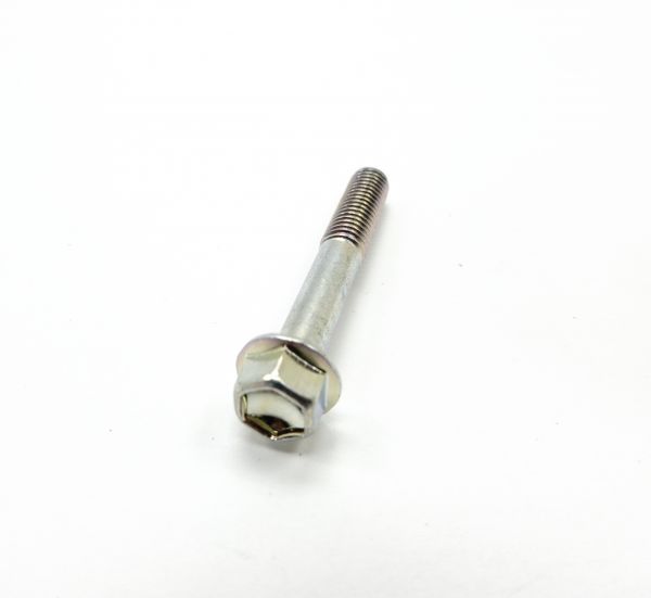 Fantic Schraube M6X40 WR125-0283