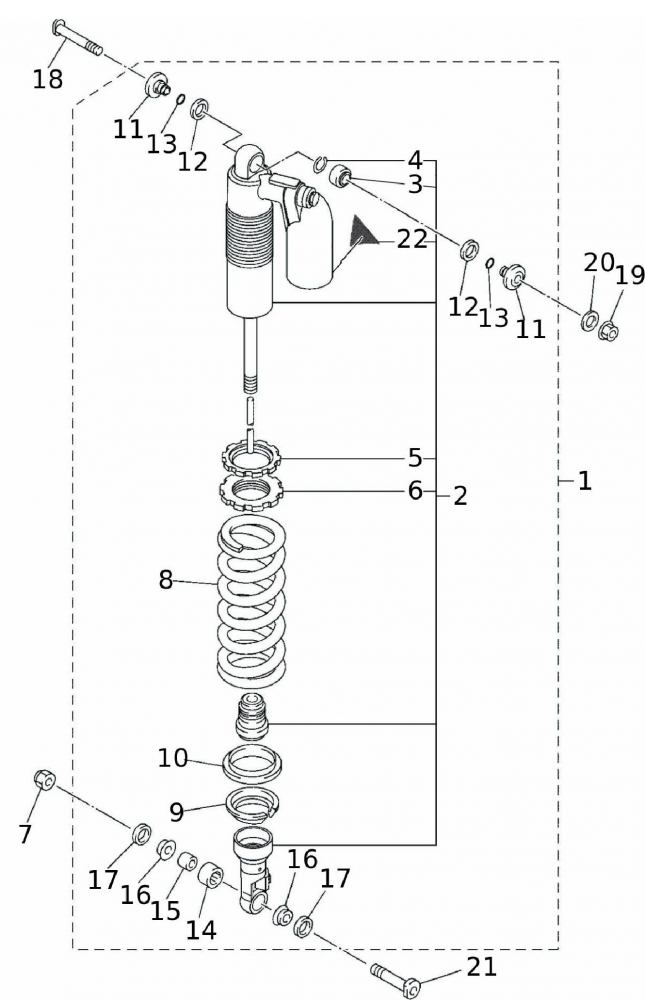 Federbein hinten